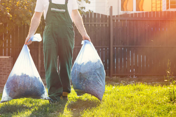 Best Office Junk Removal  in Temelec, CA